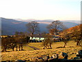 Penddeugae Fach Farm