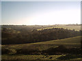 View of Millsome Castle from Taw Green