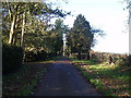 Driveway past Town Farm