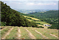 Moretonhampstead: above Doccombe