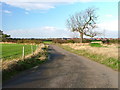 Track to Barwick Farm