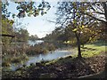 Toft Hall Mere looking south