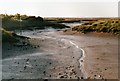 The extreme southern end of Mayland Creek at low tide