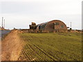 East Pitcorthie Nissen huts