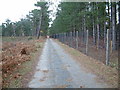 Avon Heath Country Park, Dorset