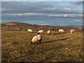 Knowetop Farm, Castlehill, Dumbarton