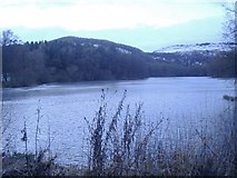 NO0438 : Stare Dam, Rohallion Loch by Kirsty Smith