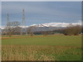 Farmland looking towards Kennet hill