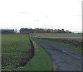 Main Road into Cuthlie Farm