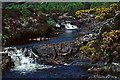 NM3999 : Kinloch River, Isle of Rum by Christine Matthews