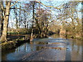 The River Mole at Thorncroft Manor