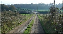 TQ1924 : Public Footpath to Heathtolt Farm, Maplehurst, West Sussex by Pete Chapman