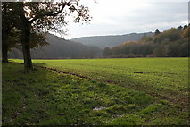 SO5304 : The Wye Valley just south of Bigsweir Bridge by Philip Halling