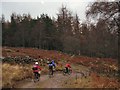 Aberfeldy to Dunkeld cycle route