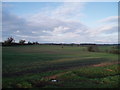 Fields between Trayslefield farm and Manor farm