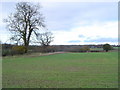 Farmland twixt St Albans and Harpenden