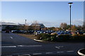 Cadbury Garden Centre, Congresbury