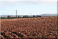 Halberton: field near Crowgreen