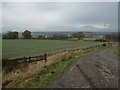 Farmland, Selston