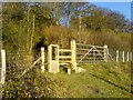 A Stile near Greenhill Wood