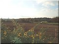 Looking across towards Leftwich from Shipbrook Road