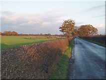 SJ6971 : Crowder's Lane, looking NE by Ian Warburton