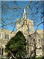 Tower, spire & yew; St. Mary