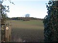 Fields near Cefn Mably