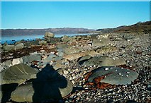 NR7270 : Rocky Foreshore on Loch Caolisport by Patrick Mackie