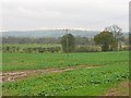 Fields, Bleathwood.