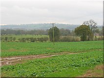 SO5569 : Fields, Bleathwood. by Richard Webb