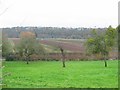 Flood plain, Teme.