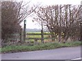 The footpath hole in the hedge.