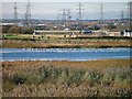 North Tees Nature Reserve