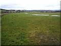 Farm Land near Little Dallas