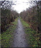 NZ1771 : Footpath on the old railway track to Ponteland by Alan Fearon