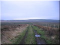 Moresby moss track.