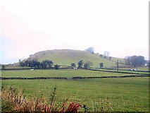 SK1371 : Tumulus at Priestcliffe by Roger May