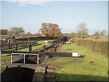 SJ9066 : Bosley Locks, Macclesfield Canal by Ian Warburton