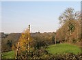 Fields and Hedges in Winter Sunshine