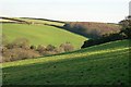 SW7846 : Valley near Penponds Farm by Tony Atkin