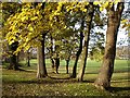 Penenden Heath