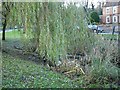 Pond on Bearsted Green