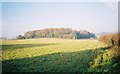 Farmland near Little Marlow