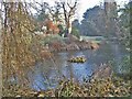 Lake at Myddelton House, Bulls Cross