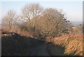 Footpath and Farm Track