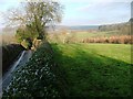 View North From Near Kepwick