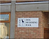 SP3166 : Dog Swimming Pool by David Stowell