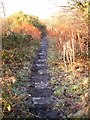 Aberdare Canal Tramroad