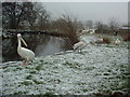 Blackbrook Zoological Park